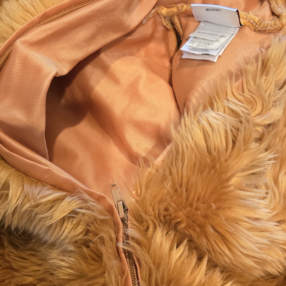 Disney Bear Costume - Brown and Yellow - Picture 6 of 10